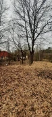 Нежилое здание площадью 63,8 кв. м, расположенное на земельном участке площадью 1266 кв. м в Зеленогорске на улице Мира.